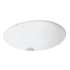 19-1/16-in x 15-3/8-in x 10-3/8-in Vitreous China Undermount Oval Bathroom Sink with Overflow in White