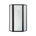 NeoAngle Shower Doors