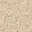61in x 22in 2cm Thick Quartz Vanity Top with Double Bowl, Butterfly Edge Profile in Durum Cream