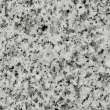 37in x 19in 2cm Thick Granite Vanity Top with Butterfly Edge Profile in Rosselin White