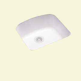 Swan US-2021-M