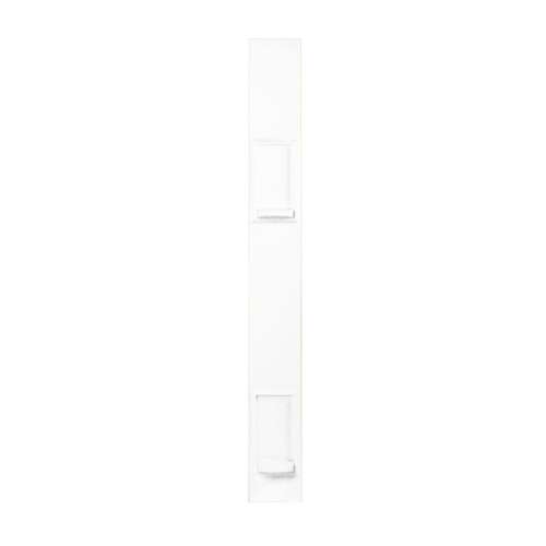 Swan DSP-2-M