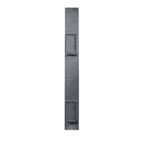 Swan DSP-2-012