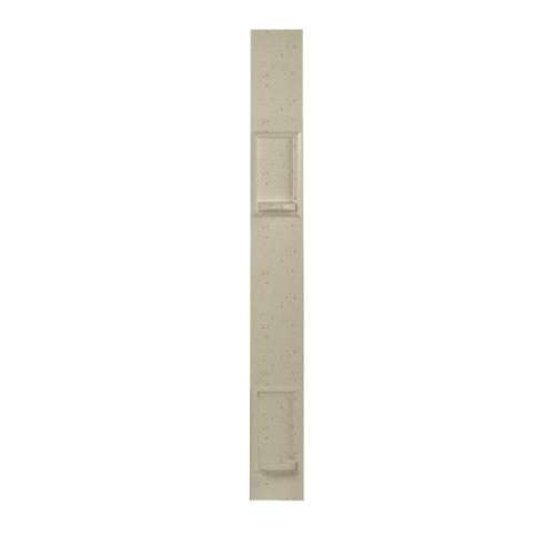 Swan DSP-2-169