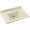 Swan Contour CV-2231-037