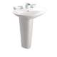 Pacifica 20-in Vitreous China Single Hole Oval Pedestal Lavatory