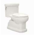 1-Piece Toilets