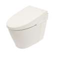 1-Piece Toilets