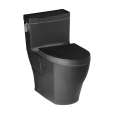 1-Piece Toilets