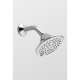 Transitional TS200AL65#BN Multi Function Shower Head in Brushed Nickel