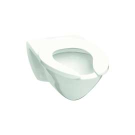 Toto Flushometer CT708EV