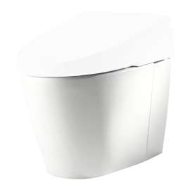 Toto Neorest CT980CMG