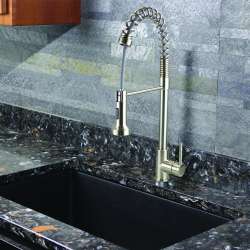 Cuisine Pro Pull-Out Kitchen Faucet in Luxe Stainless