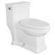 One Piece Toilets