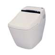 1-Piece Toilets