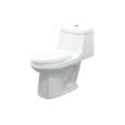 1-Piece Toilets