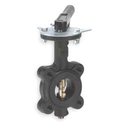 Butterfly Valve, 2 1/2in