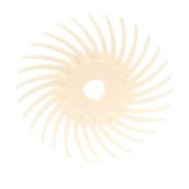 7000028525 Scotch-Brite™ SR Radial Bristle Disc, 3 in x 3/8 in, 10/Carton, 40 ea/Case