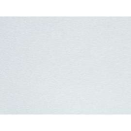 7010512919 Paper Sheet 426U, 180 A-weight, 2-3/4 in x 17-1/2 in