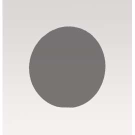 7010518320 Wetordry™ Paper Disc 431Q, 120 C-weight, 10 in x NH, Die 1000C