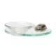 Infinity A8730-SN Modern Soap Dish 6-11/16-in in Satin Nickel