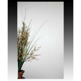 MC21244 Mirror Cabinet