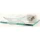Modern Soap Dish 6-3/4-in in Polished Chrome