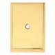 Escutcheon Backplate Escutcheons 1-7/8-in in Polished Brass