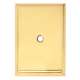 Escutcheon Backplate Escutcheons 2-1/4-in in Polished Brass