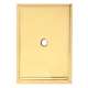Escutcheon Backplate Escutcheons 2-5/8-in in Polished Brass
