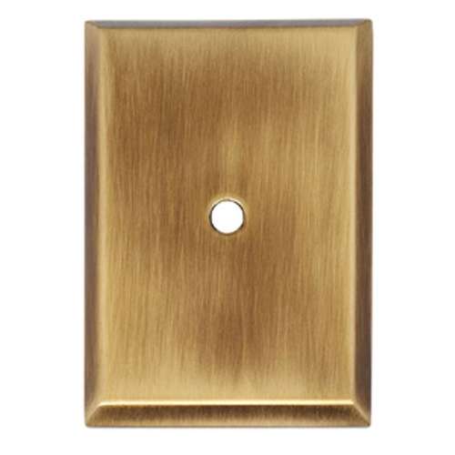 Escutcheon Backplate Escutcheons 2-1/4-in in Antique English