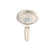 2.5 GPM 4-Function Hand Shower in Polished Nickel
