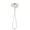 2.5 GPM Duo 4-Function 2-in-1 Shower Head in Polished Nickel