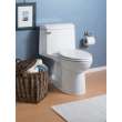 1.6 Gpf Elongated Right Height One-Piece Toilet with Seat, in Bone