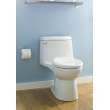 1.6 Gpf Elongated Right Height One-Piece Toilet with Seat, in Bone