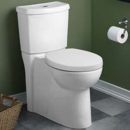 Dual-Flush Elongated 2-Piece Toilet with Concealed Trapway, Seat, and 12-in Rough-In