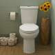 H2Option Dual Flush Right Height Elongated 2-Piece Toilet 0.92/1.28 Gpf, in White