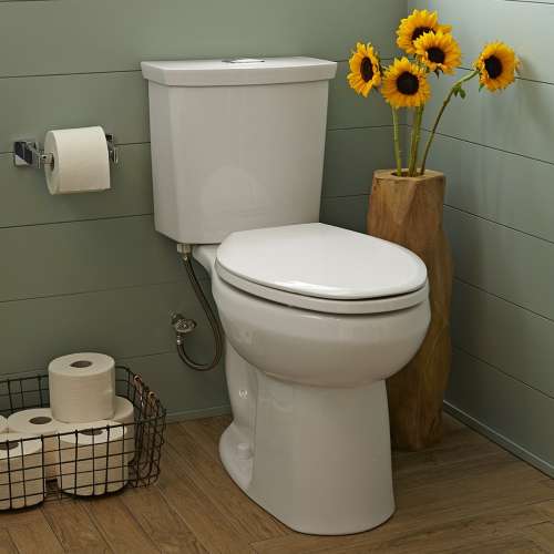 Dual Flush 0.92/1.28 gpf Elongated Right Height Two-Piece Toilet with 12-in Rough-In in Bone