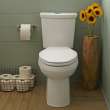 Dual Flush 0.92/1.28 gpf Elongated Right Height Two-Piece Toilet with 12-in Rough-In in Bone