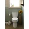 H2Option Dual Flush Right Height Elongated 2-Piece Toilet 0.92/1.28 Gpf, in Bone