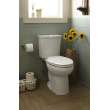 H2Option Dual Flush Elongated 0.92/1.28 Gpf 2-Piece Toilet, in Bone