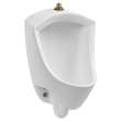 6002001USMCA.020 Pintbrook 0.125 - 0.5 gpf 0.47 - 1.9 Lpf Top Spud Urinal, Made in Mexico, White 