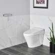 8017A60GRC-291 Advanced Clean 100 SpaLet Bidet Toilet Seat Unit, Alabaster White 