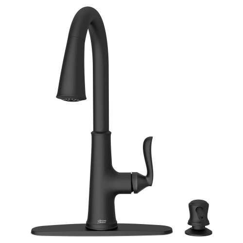 Northport® One-Handle Pull-Down Kitchen Faucet With Soap Dispenser, 7035300.243