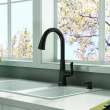 Northport® One-Handle Pull-Down Kitchen Faucet With Soap Dispenser, 7035300.243