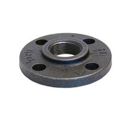 0309003002 FLANGE 2-1/2X7 GALVANIZED CAST IRON 125# FIGURE 1011 THREADED FACED & DRILLED FLAT FACE
