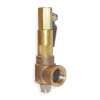 523FEBKMAA0350 Bronze POP Safety Relief Valve, MNPT Inlet Type, FNPT Outlet Type