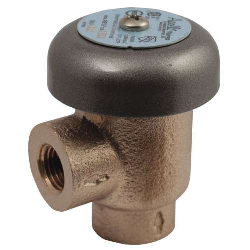 Vacuum Breaker, FNPT Connection Type, 1-in