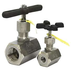 Globe Valve, FNPT, 316 SS, Cross Handle, Graphite Seal, 1/4-in