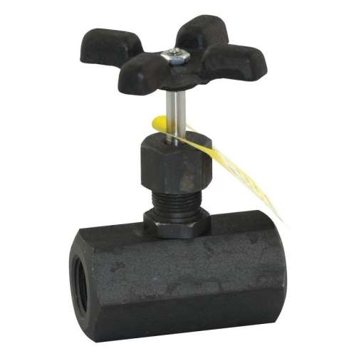 Globe Valve, FNPT, 316 SS, Cross-Handle, 3/8-in
